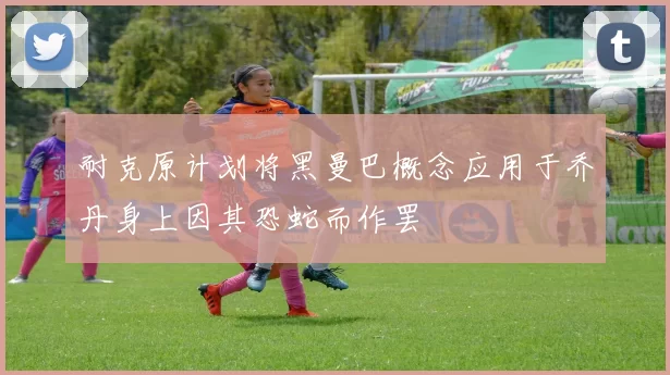 耐克原计划将黑曼巴概念应用于乔丹身上因其恐蛇而作罢